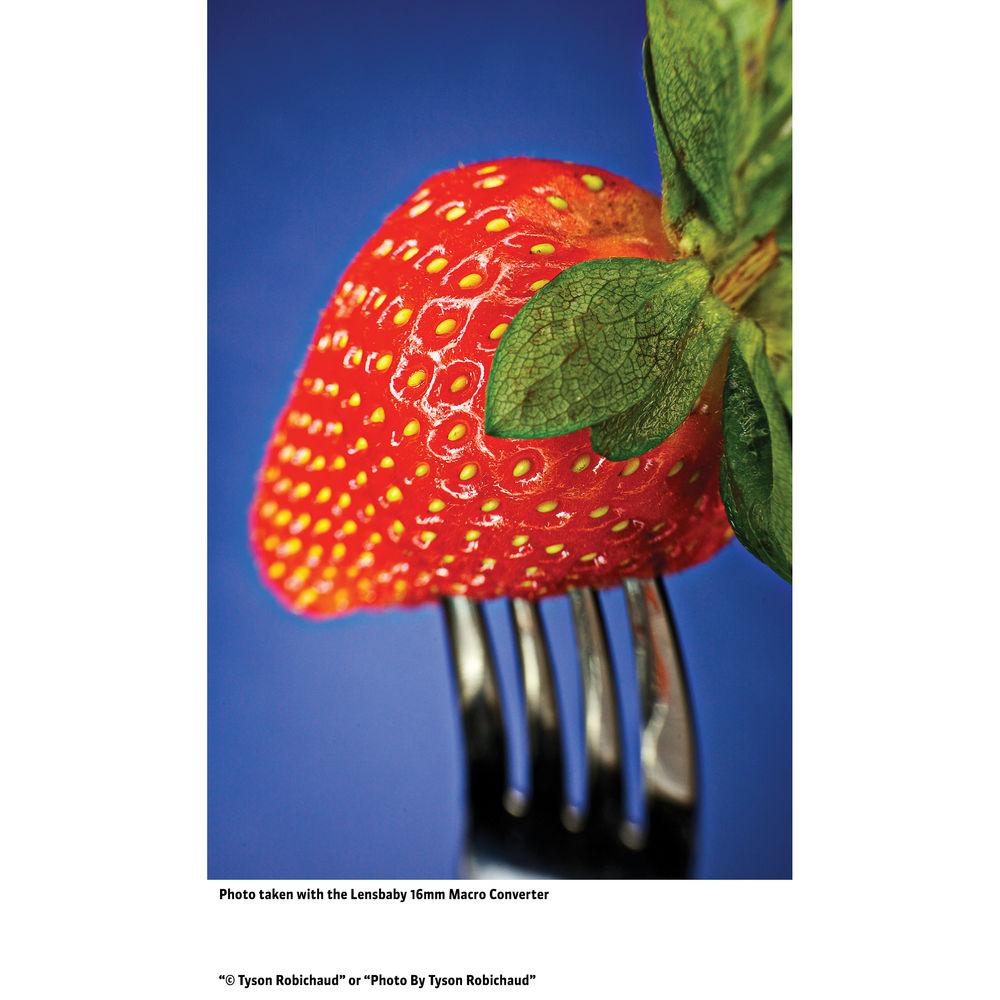 Lensbaby Macro Converter Extension Rings for Lensbaby