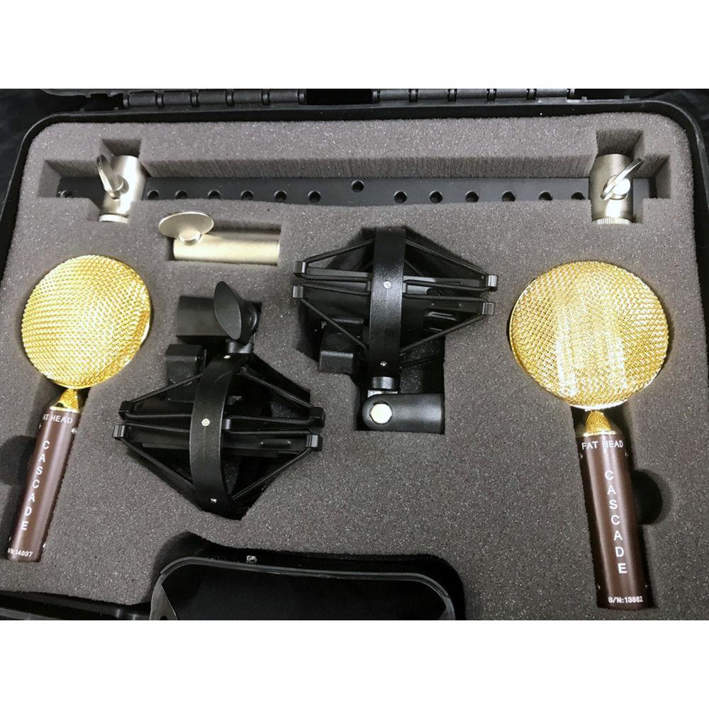 Cascade Microphones FAT HEAD Ribbon Microphones