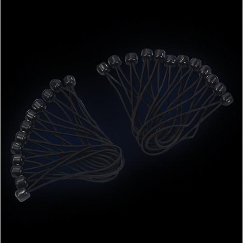 Digital Juice Butterfly Frame Bundle