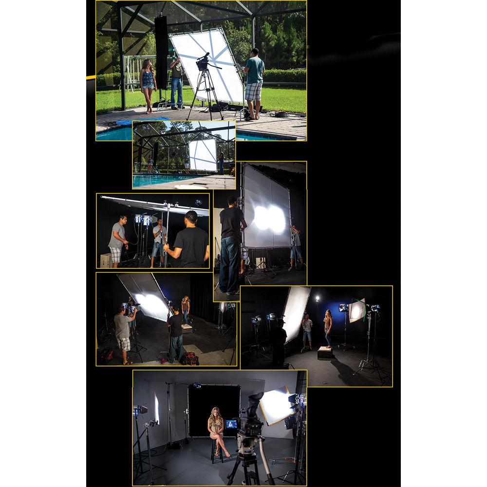 Digital Juice Butterfly Frame Bundle