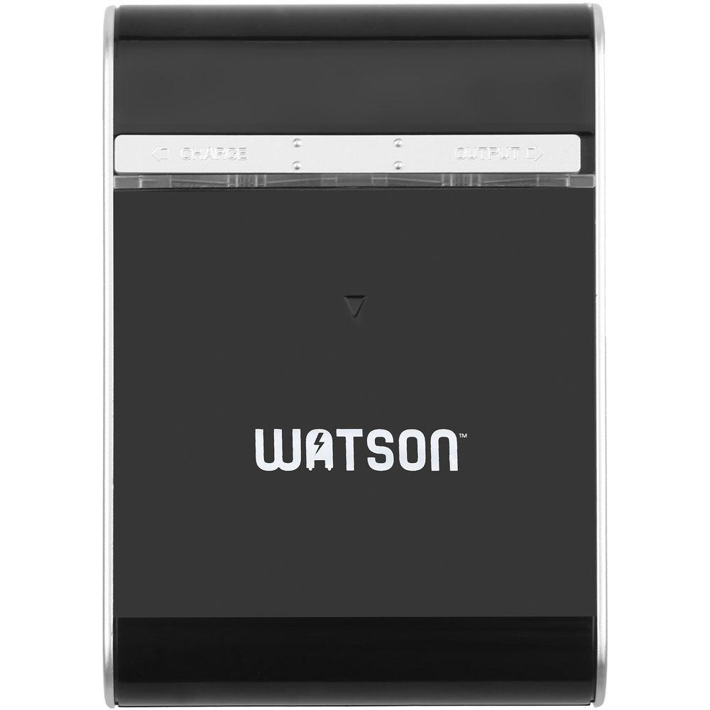Watson 4-Bay USB Charger and Portable Power Pack for AA and AAA NiMH Batteries