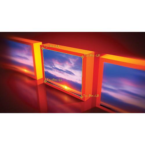 Red Giant Warp - Academic