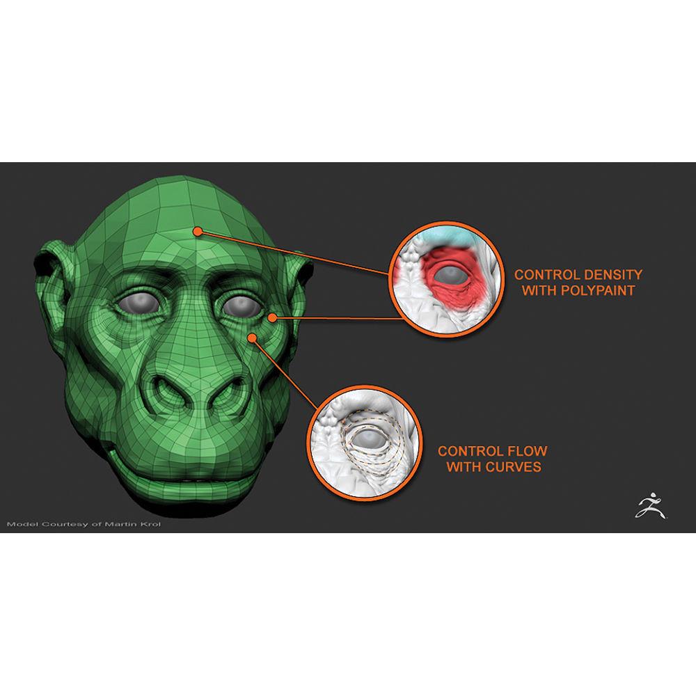 Pixologic ZBrush 4R6 Software for Windows and Mac