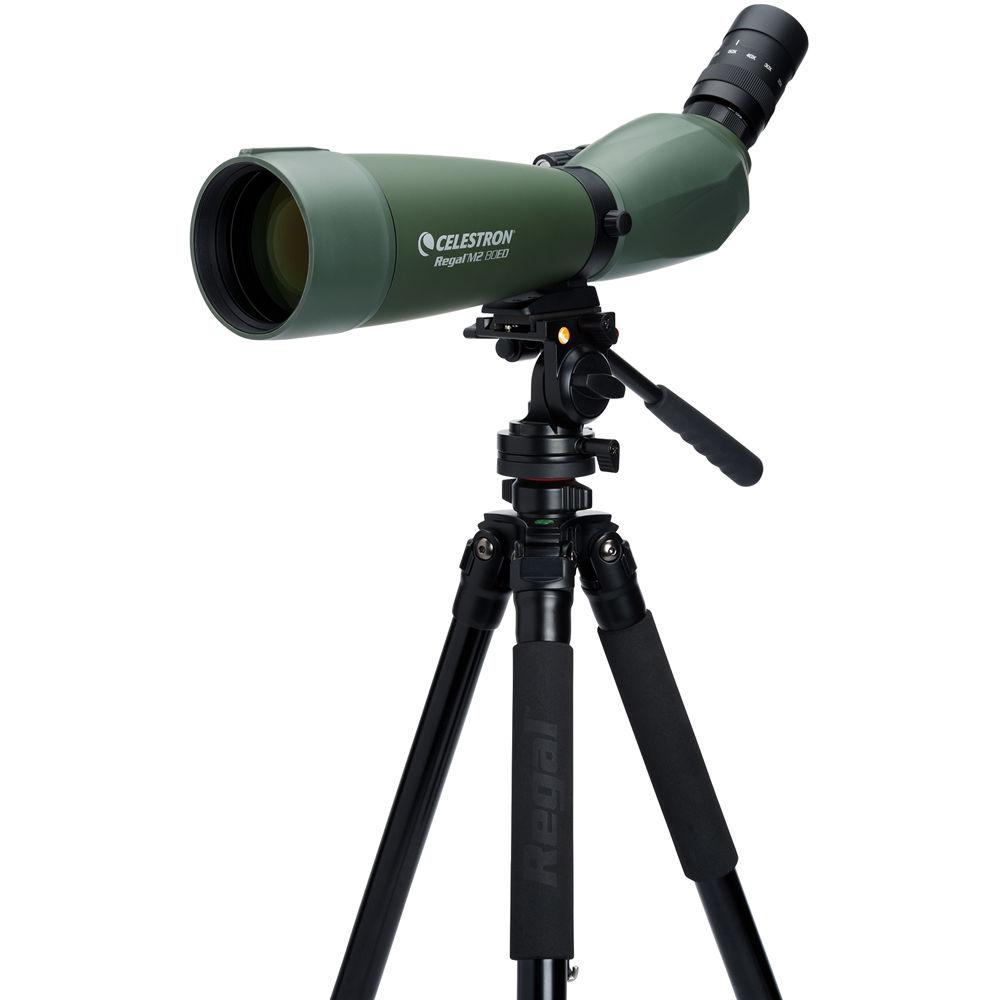 Celestron Regal M2 80ED Spotting Scope with 20-60x Eyepiece