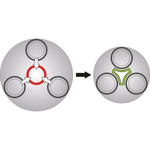 Giottos Classic Series 8214 Carbon Fiber YTL Silk Road Tripod