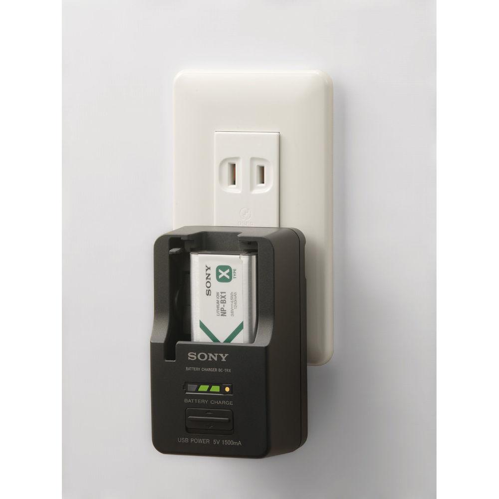 Sony BCTRX Battery Charger
