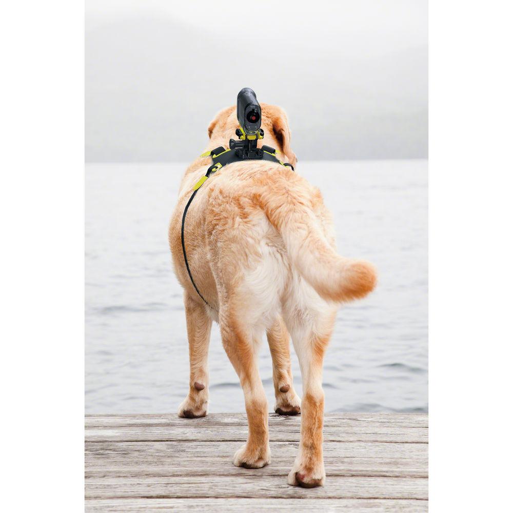 Sony Dog Mount for Action Cam