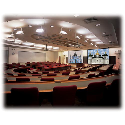 Draper 115164 Rolleramic Motorized Projection Screen