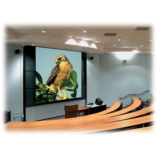 Draper 115172 Rolleramic Motorized Projection Screen