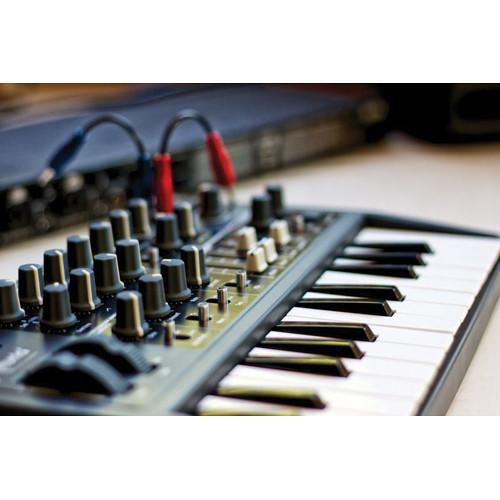 Arturia MicroBrute Analog Synthesizer