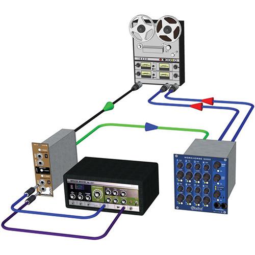 Radial Engineering Radial Shuttle Insert Loop for Workhorse 500