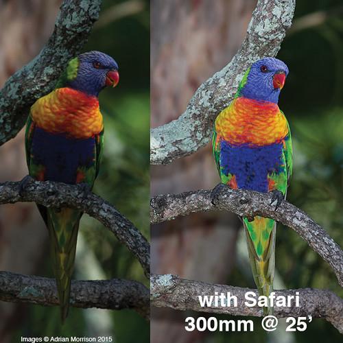 Rogue Photographic Design Safari DSLR Pop-Up Flash Booster