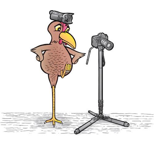 VariZoom ChickenFoot Aluminum Monopod