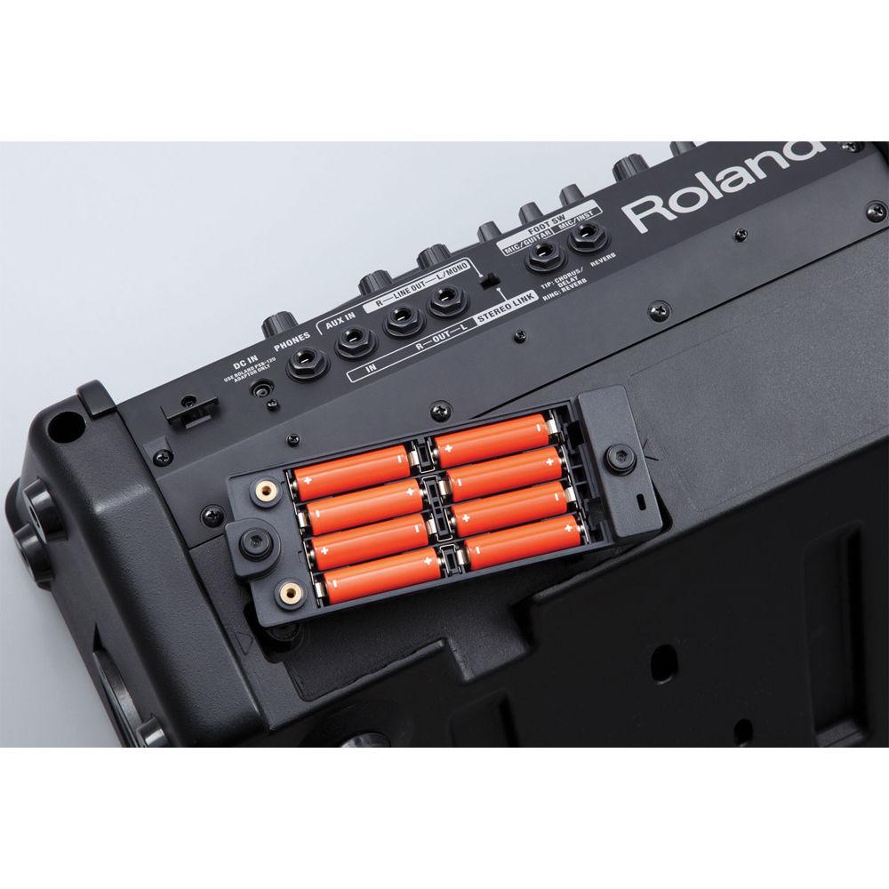 Roland CUBE Street EX - Battery Powered Stereo Amplifier