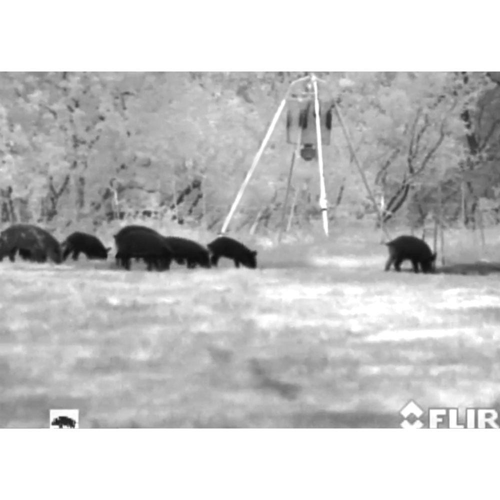 Armasight by FLIR Prometheus 3x 336 30Hz Thermal Monocular