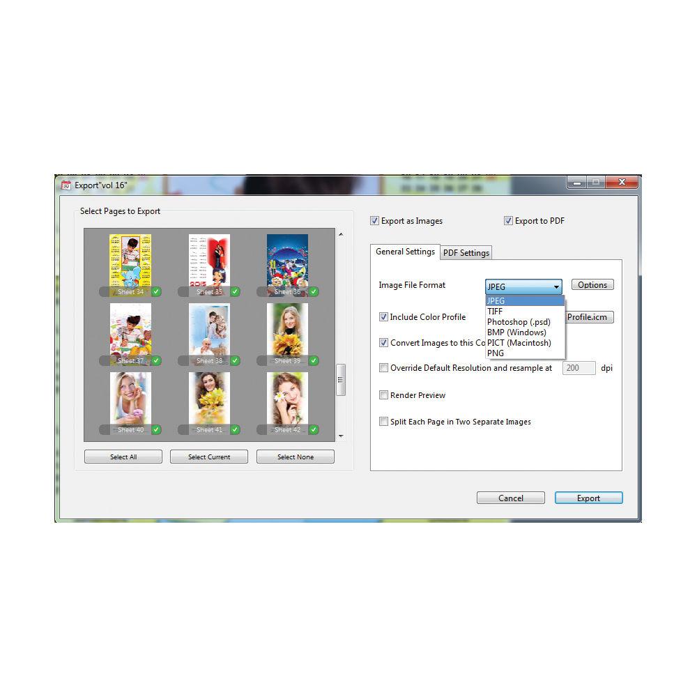 SPC Calendars Professional 2015
