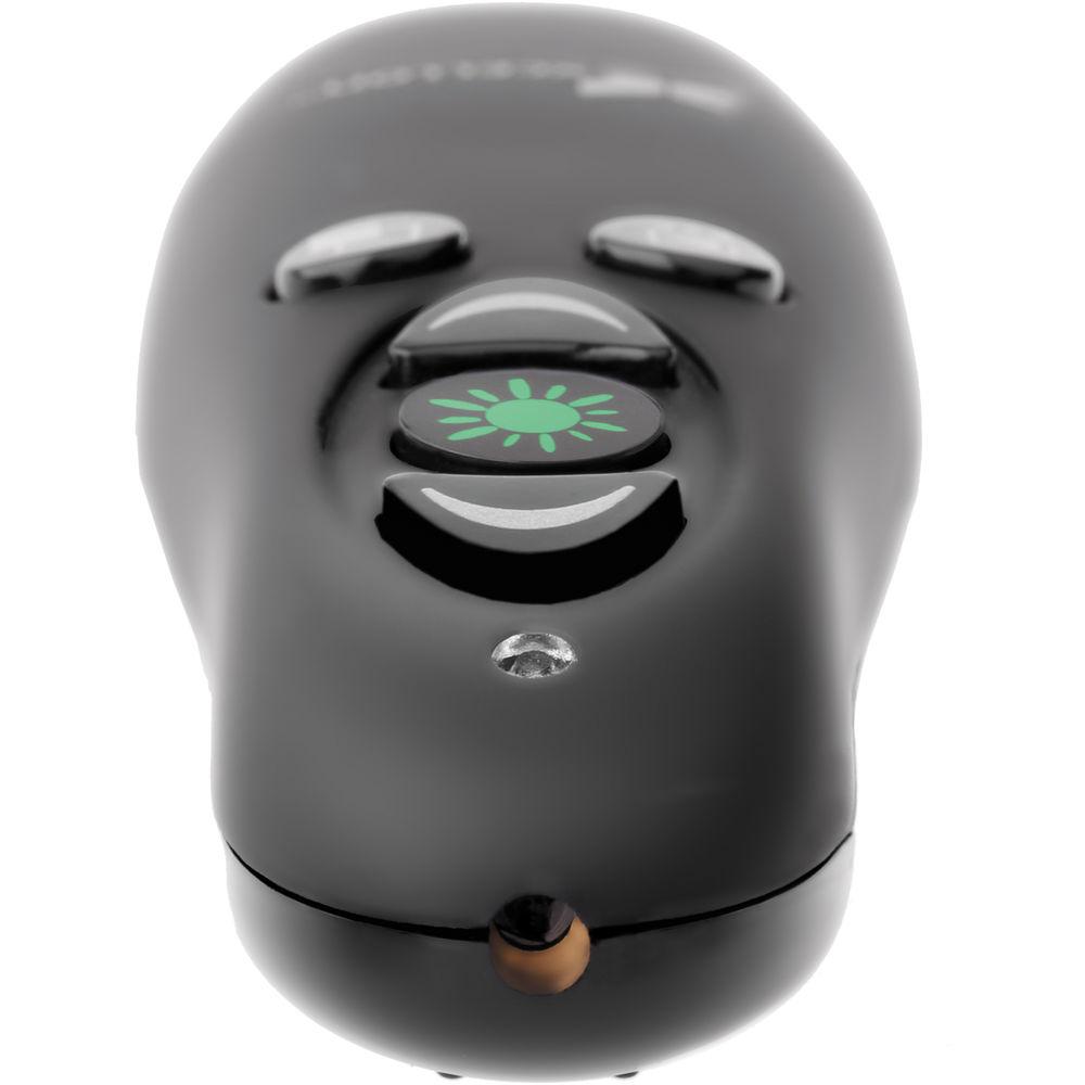 Xcellon Wireless Presenter with Green Laser