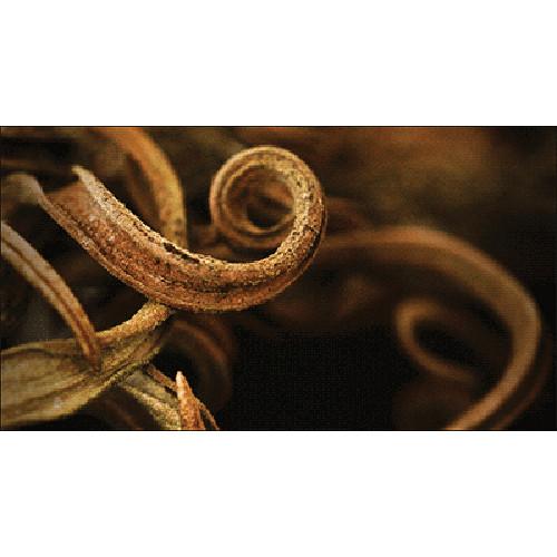 Applied Acoustics Systems String Studio VS-2 - String Modeling Synthesizer