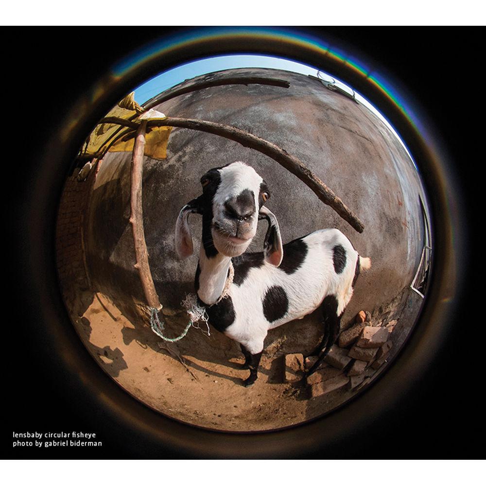 Lensbaby 5.8mm f 3.5 Circular Fisheye Lens for Sony E