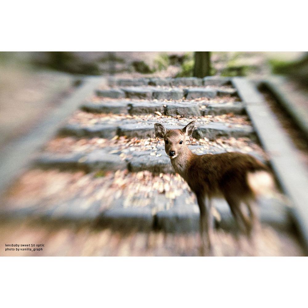 Lensbaby Composer Pro II with Sweet 50 Optic for Samsung NX