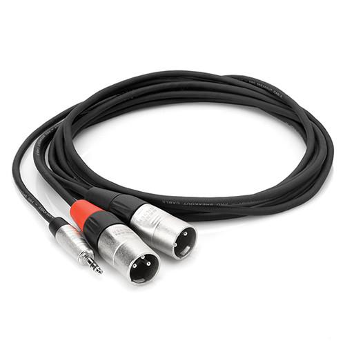 Hosa Technology Pro Stereo Breakout Cable - 3.5mm Stereo Mini to Dual 3-Pin XLR Male