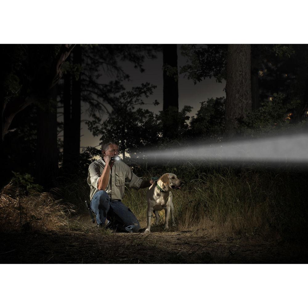 Maglite ML50LX 2C-Cell LED Flashlight