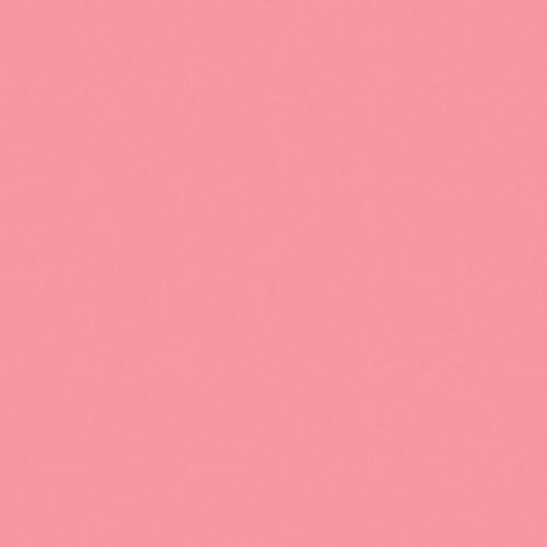 Rosco Beauty Filter Kit