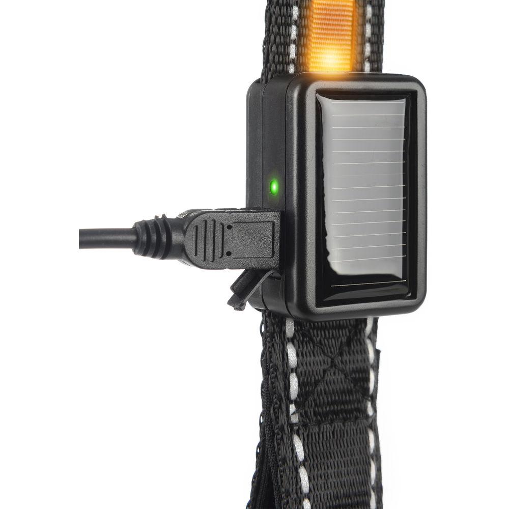 Brite-Strike Solar USB Lighted Dog Leash, Brite-Strike, Solar, USB, Lighted, Dog, Leash