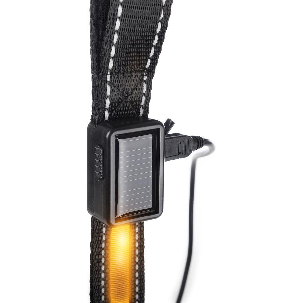 Brite-Strike Solar USB Lighted Dog Leash