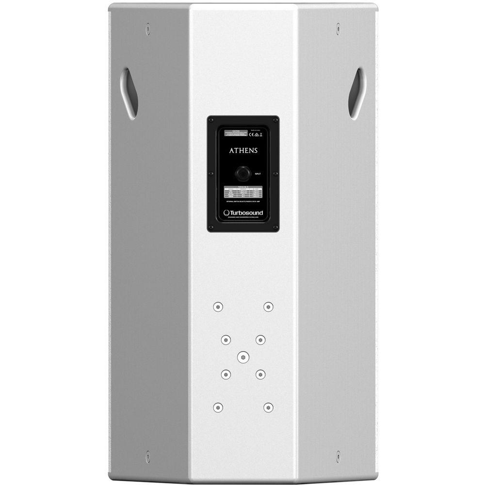 Turbosound TCS152 96-RWH 15" Two-Way Full-Range Weather-Resistant Loudspeaker with Dendritic Waveguide