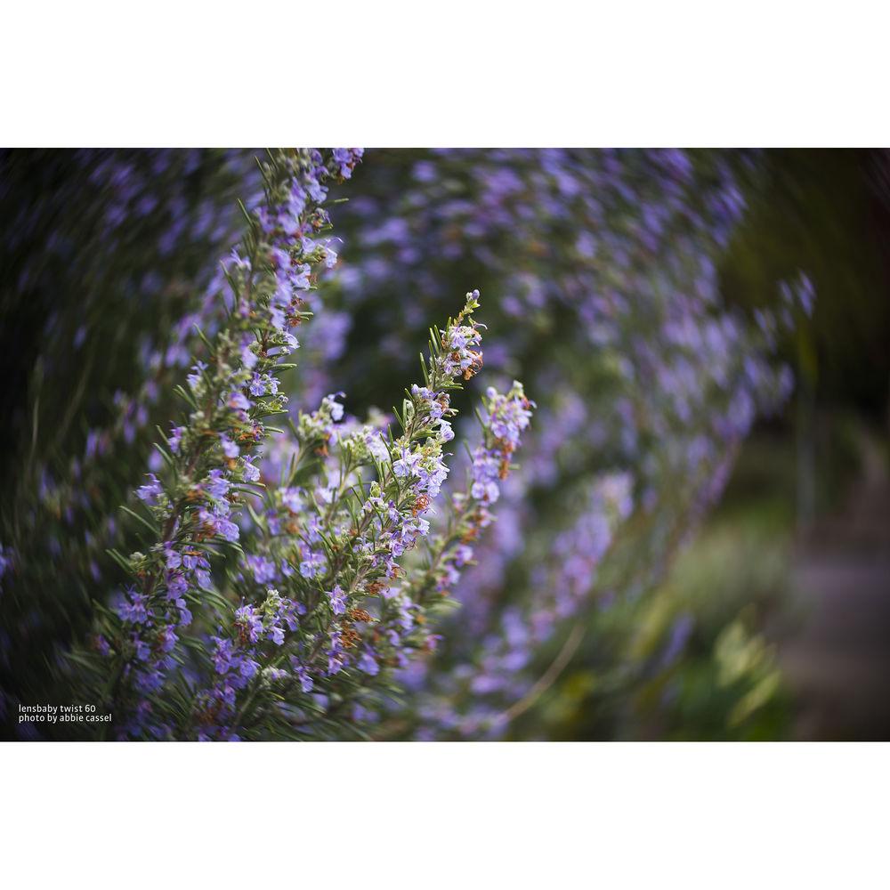 Lensbaby Twist 60 Optic with Straight Body for Sony E