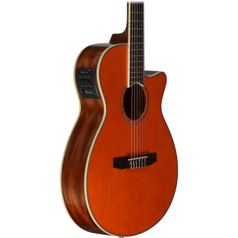 Ibanez AEG10NII Acoustic Electric Classical Guitar