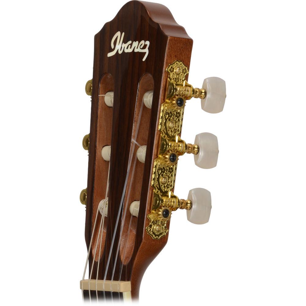 Ibanez AEG10NII Acoustic Electric Classical Guitar