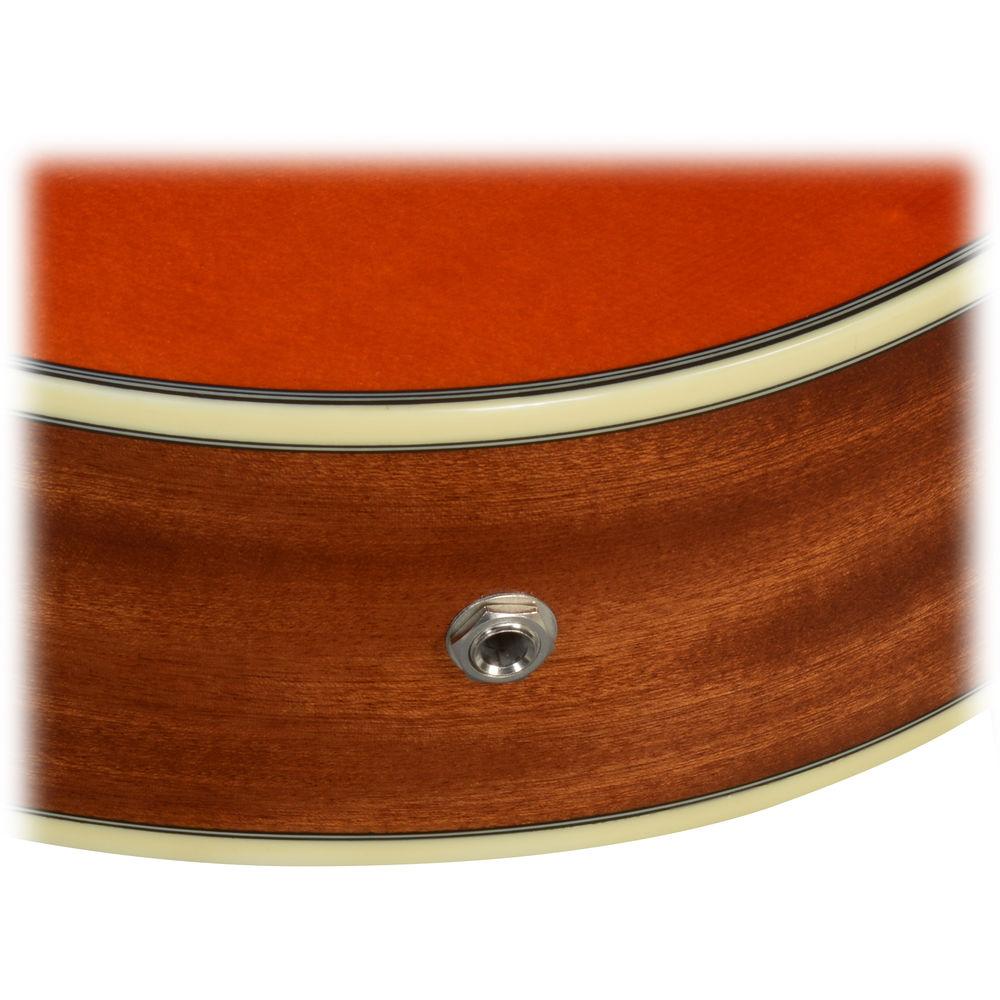 Ibanez AEG10NII Acoustic Electric Classical Guitar