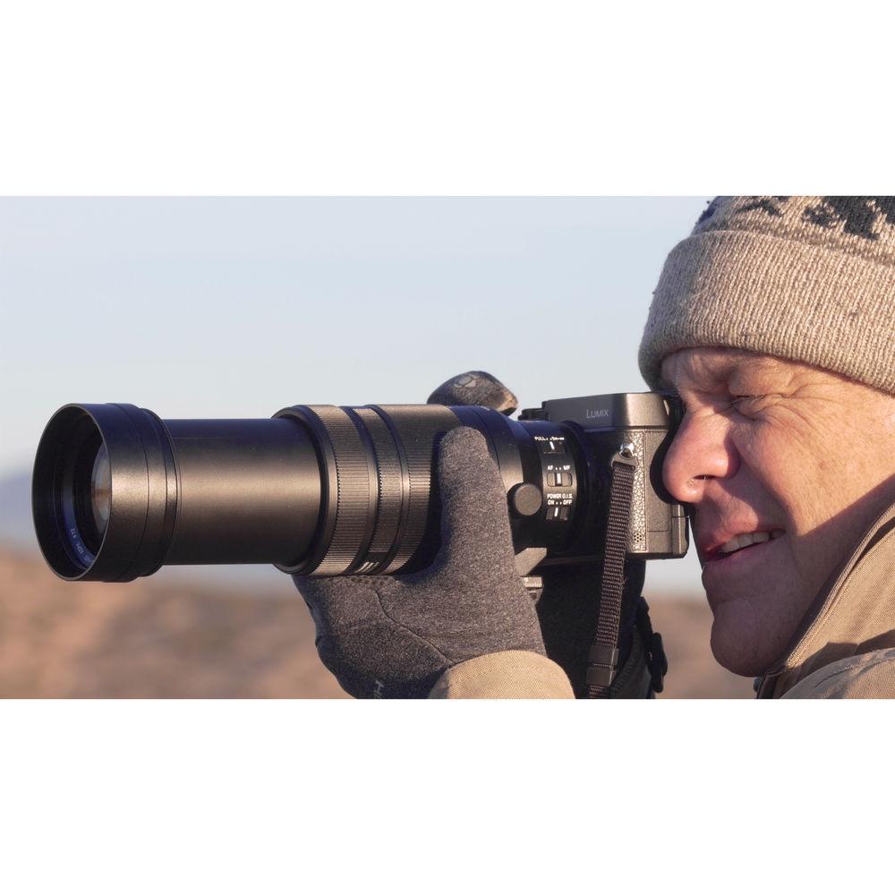 Panasonic Leica DG Vario-Elmar 100-400mm f 4-6.3 ASPH. POWER O.I.S. Lens