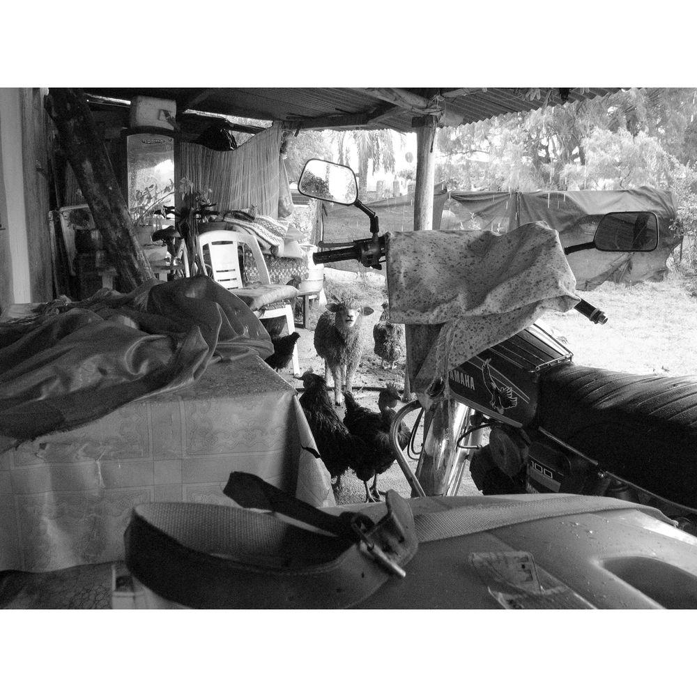 John Harris Photos Book: Garzon