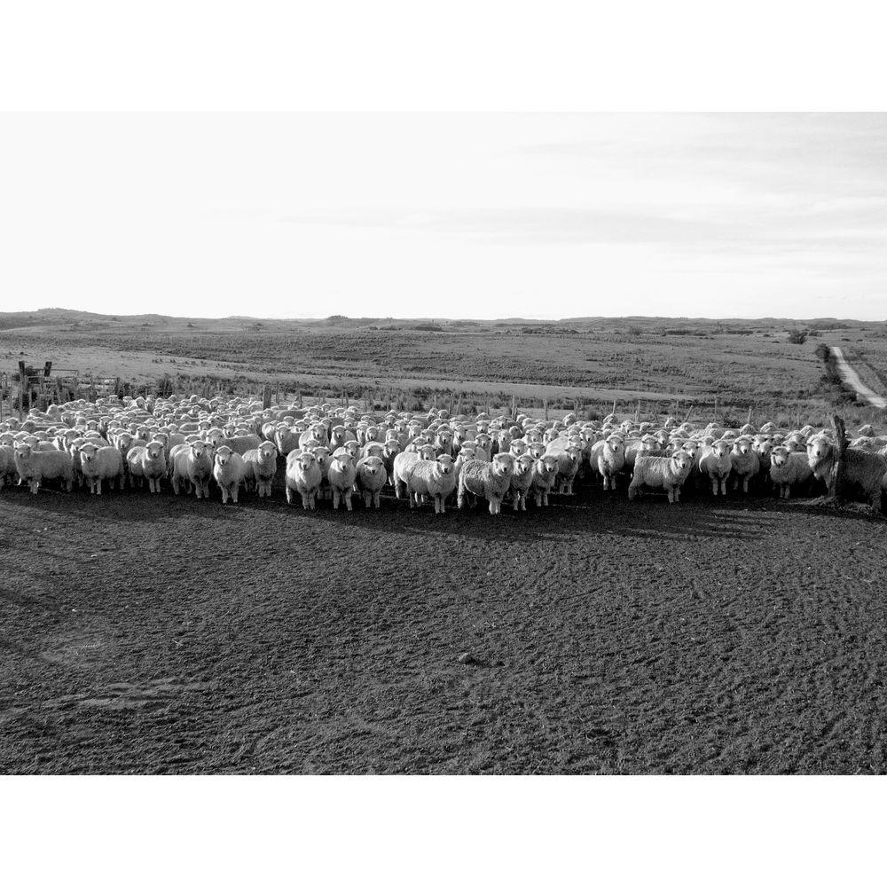 John Harris Photos Book: Garzon