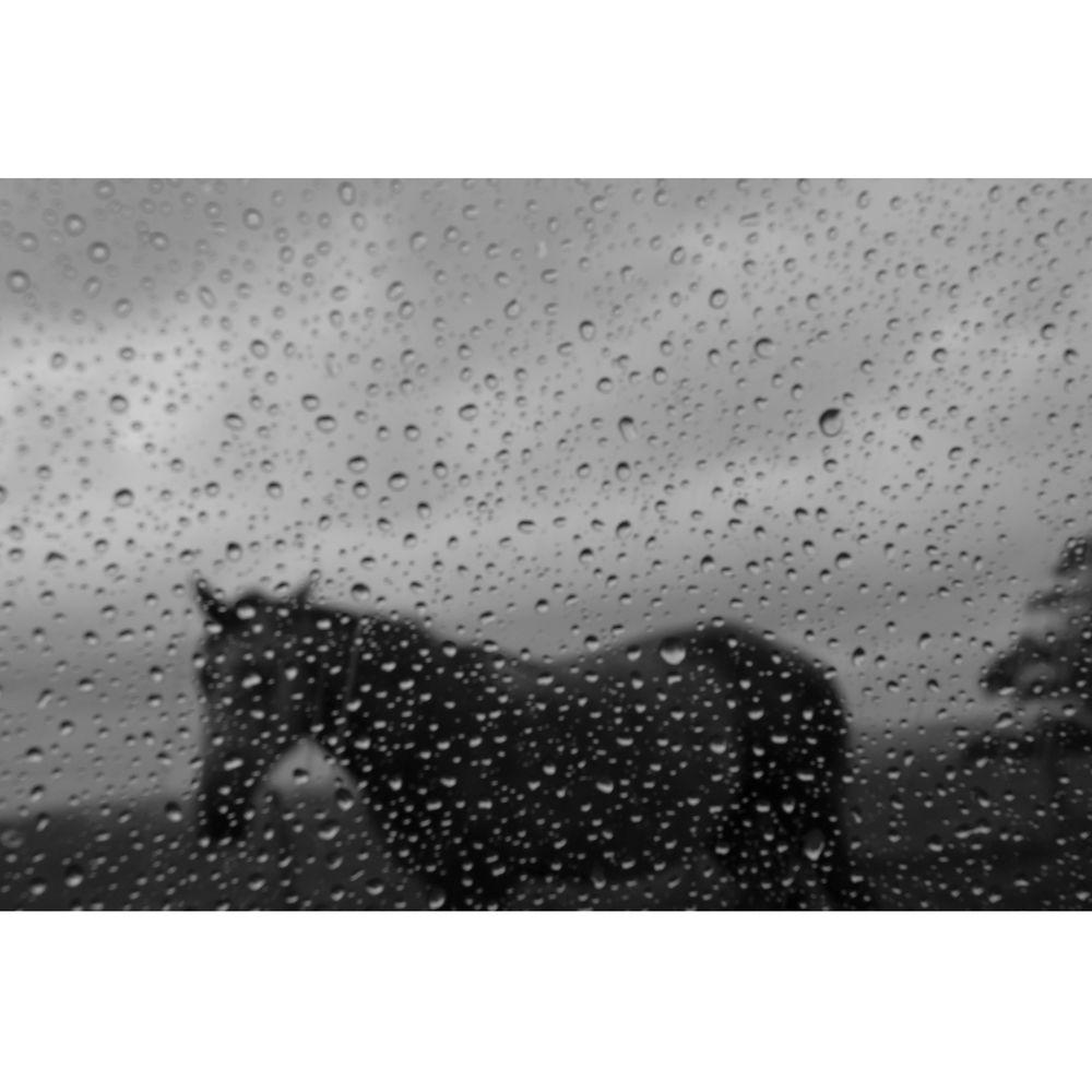 John Harris Photos Book: Garzon