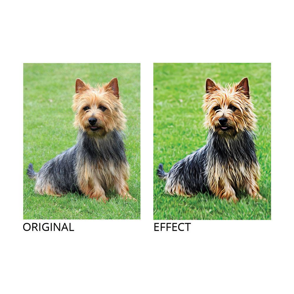 Photographers Photoshop Painterly Airbrushed Photoshop Effect