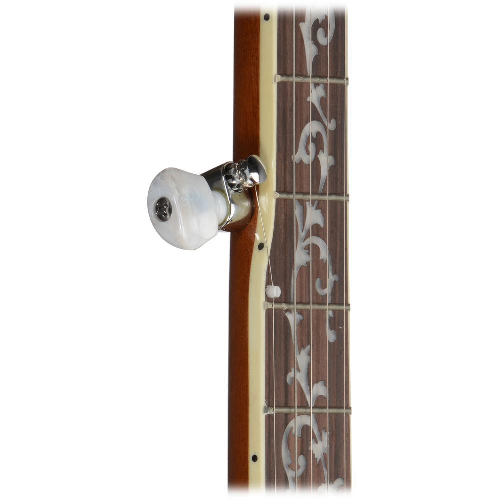 Ibanez B200 5-String Banjo