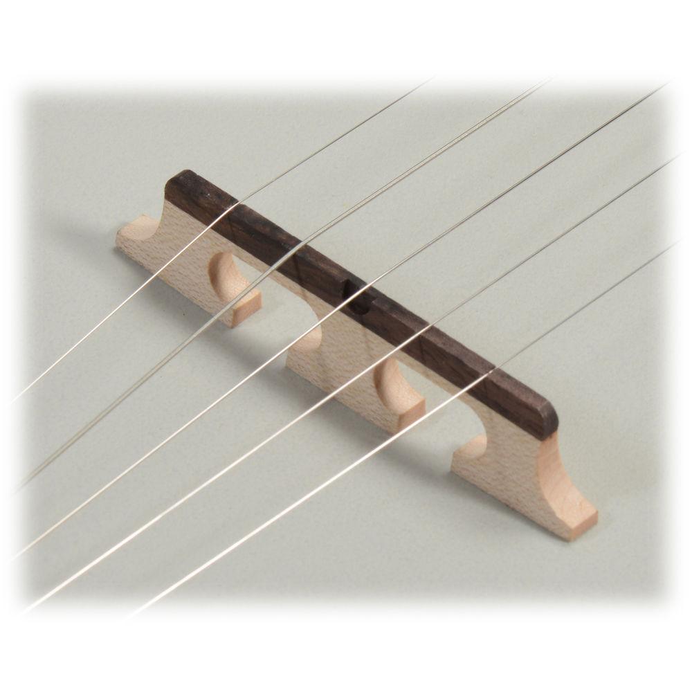 Ibanez B200 5-String Banjo