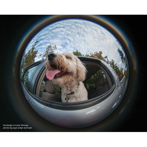 Lensbaby 5.8mm f 3.5 Circular Fisheye Lens for Fujifilm X