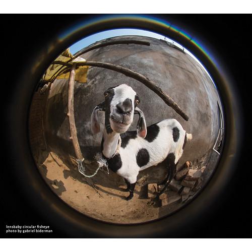 Lensbaby 5.8mm f 3.5 Circular Fisheye Lens for Fujifilm X