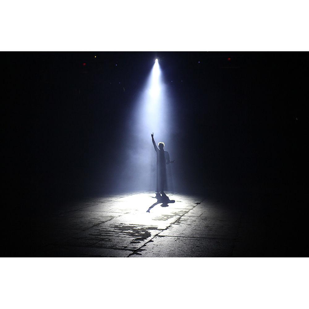 CHAUVET DJ Hurricane 1000 Fog Machine with Manual and Wireless Remote Control