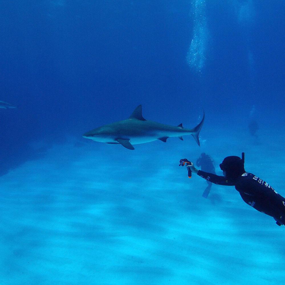 SP-Gadgets Section Pistol Trigger