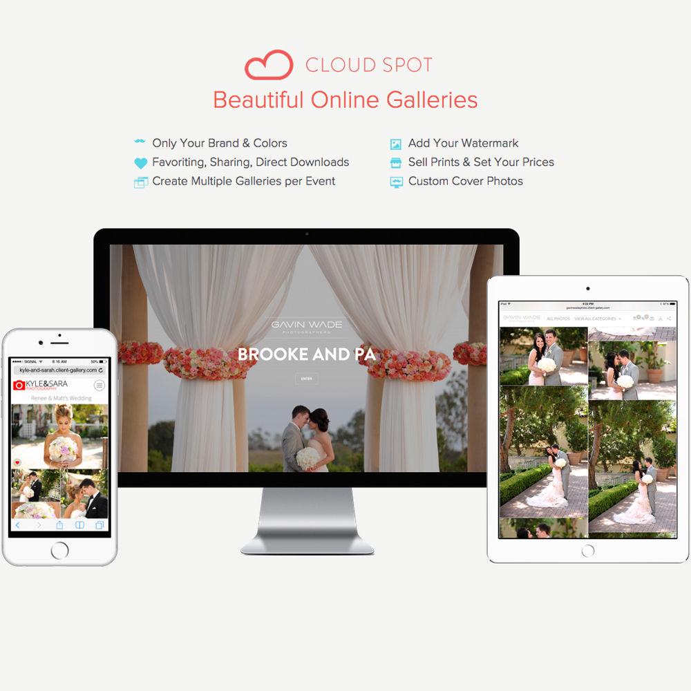 Cloud Spot Pro Cloud Storage 12-Month Subscription Plan