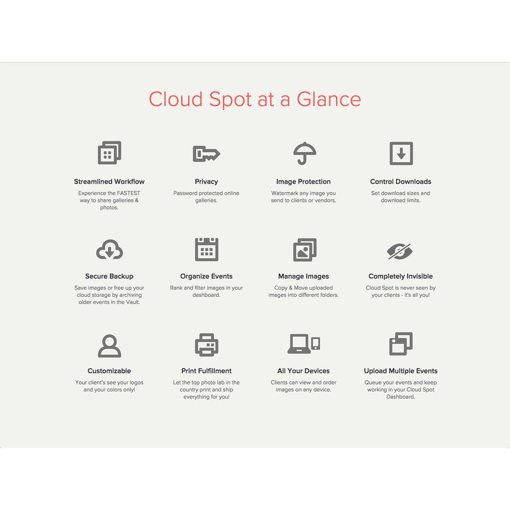 Cloud Spot Pro Cloud Storage 12-Month Subscription Plan
