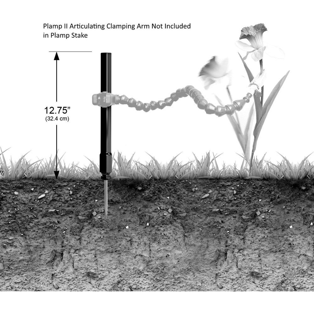 Wimberley The Plamp Stake