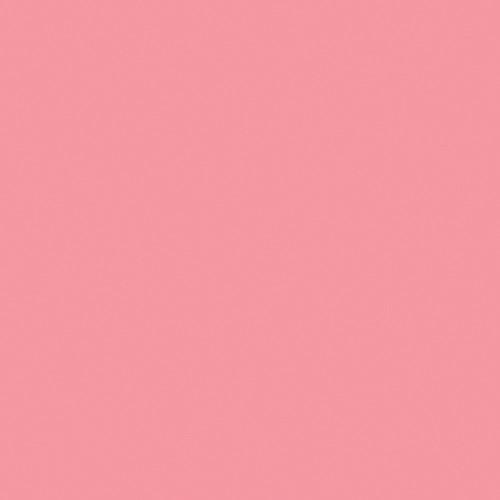 Rosco Beauty Flash Pack