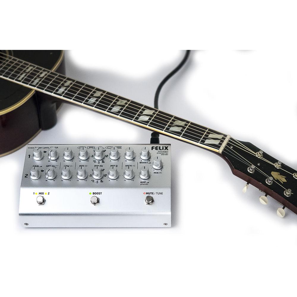 Grace Design FELiX 2-Channel Preamp & EQ with Blend
